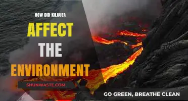 Kilauea's Eruption: Environmental Impacts and Ecosystem Recovery Insights