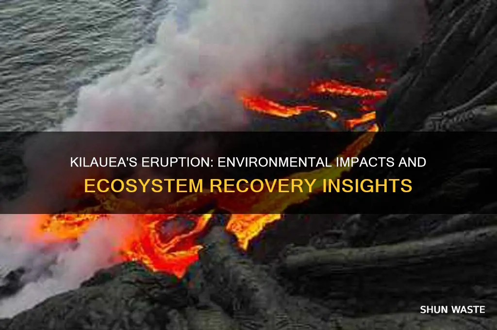 how did kilauea affect the environment