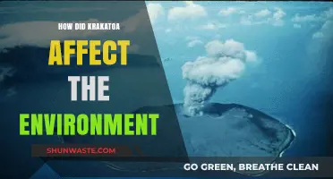 Krakatoa's Eruption: Environmental Impacts and Long-Term Ecological Consequences