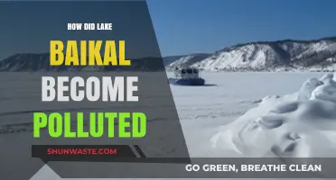 Lake Baikal's Pollution: Causes and Effects