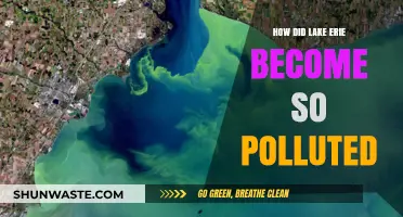 The Troubled Waters of Lake Erie: Pollution's Impact