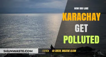 The Deadliest Lake: Karachay's Pollution Crisis