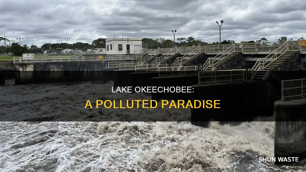 how did lake okeechobee get polluted