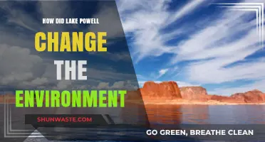 Lake Powell's Environmental Impact: Transforming Ecosystems and Landscapes
