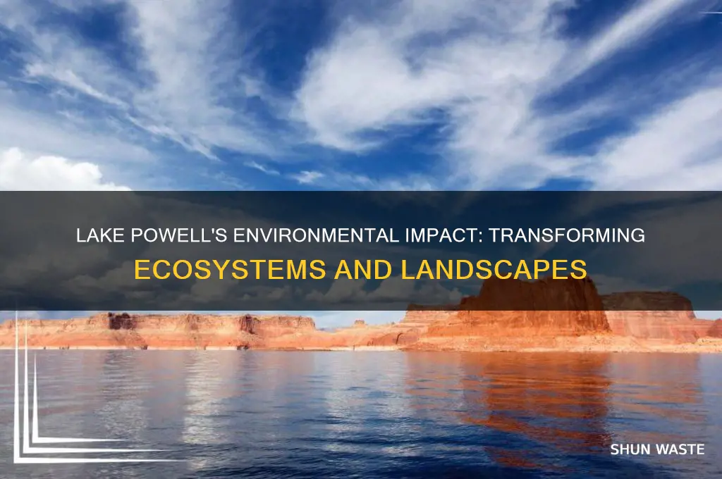 how did lake powell change the environment