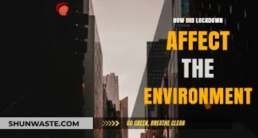 Lockdown's Environmental Impact: A Surprising Shift in Nature's Balance