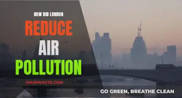 London's Air Pollution: Strategies for Success