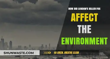 London's Great Smog: Environmental Impact and Long-Term Consequences