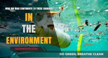 Human Impact: Unraveling Our Role in Environmental Transformation