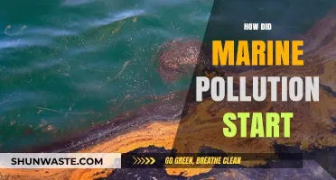 The Dark History of Marine Pollution