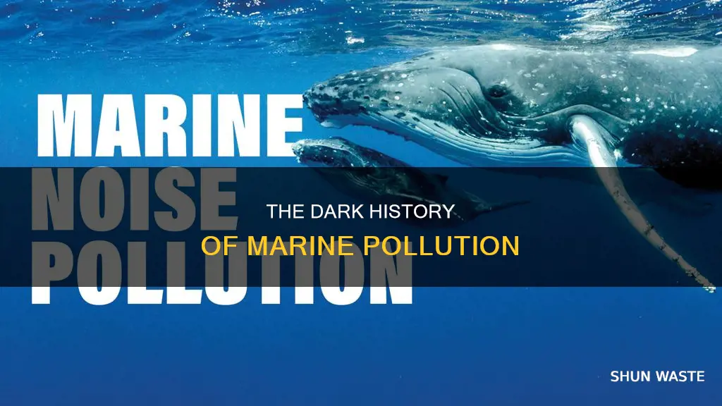 how did marine pollution start