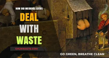 Medieval Urban Sanitation: Waste Management Strategies in Historic Cities