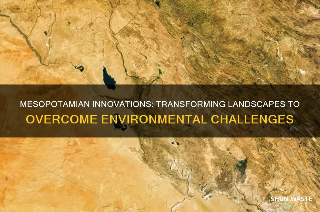 how did mesopotamians change their physical environment to solve problems