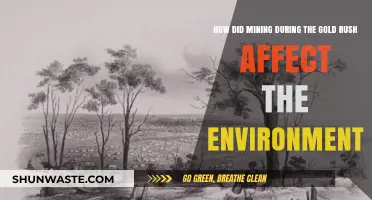 Gold Rush Mining's Devastating Environmental Impact: A Historical Overview