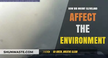 Mount Cleveland's Eruptions: Environmental Impacts and Ecosystem Changes Explored