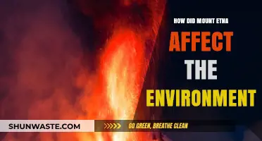 Mount Etna's Eruptions: Environmental Impacts and Ecosystem Resilience Explored