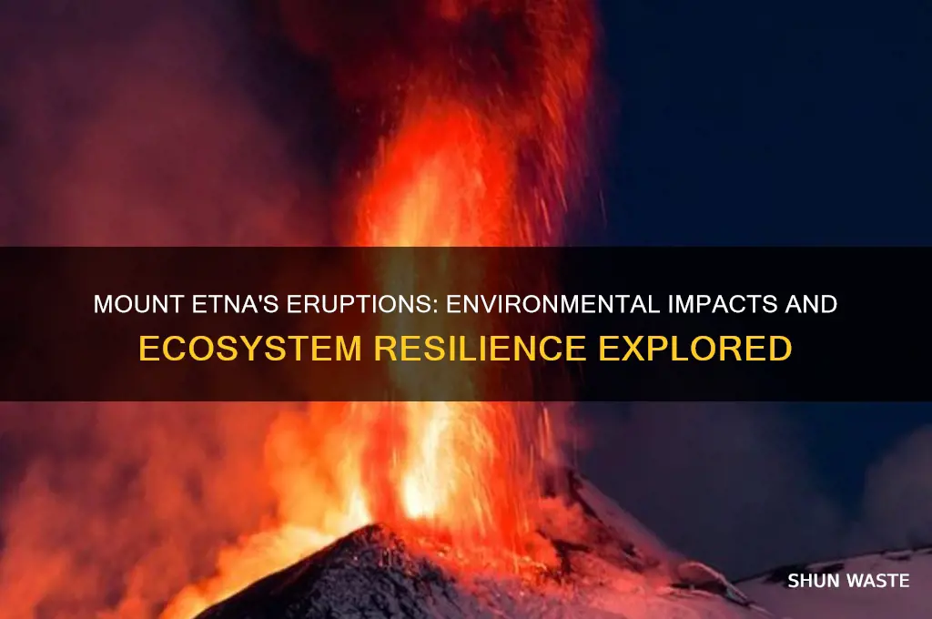 how did mount etna affect the environment