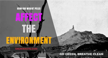 Mount Pelée's Eruption: Environmental Impacts and Long-Term Ecological Changes