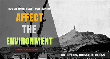 Mount Pelée's 1902 Eruption: Environmental Devastation and Long-Term Impacts