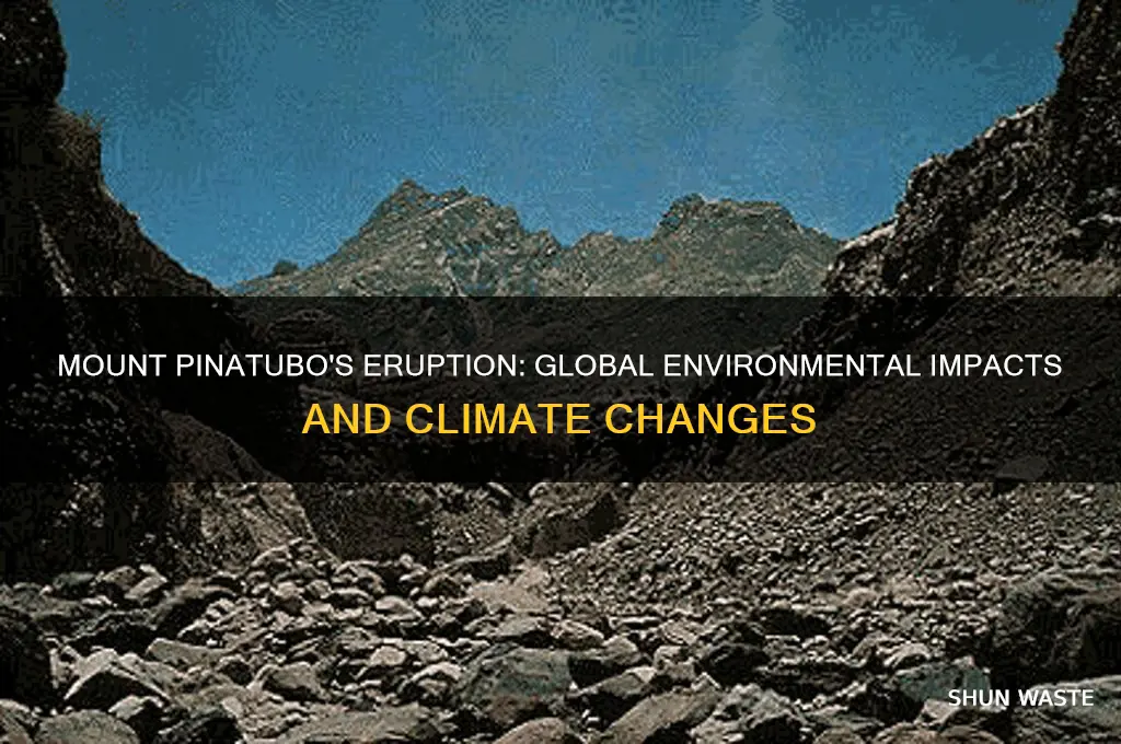 how did mount pinatubo eruption affect the global environment