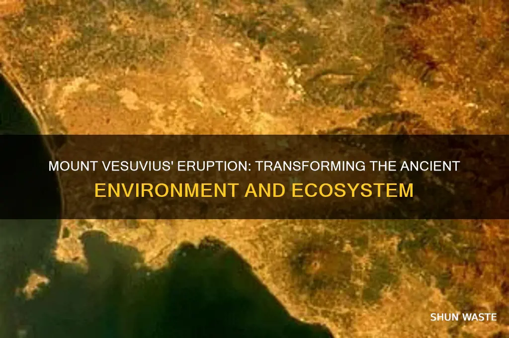 how did mount vesuvius change the environment