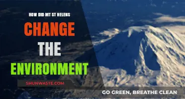 Mount St. Helens Eruption: Transforming Ecosystems and Landscapes Forever
