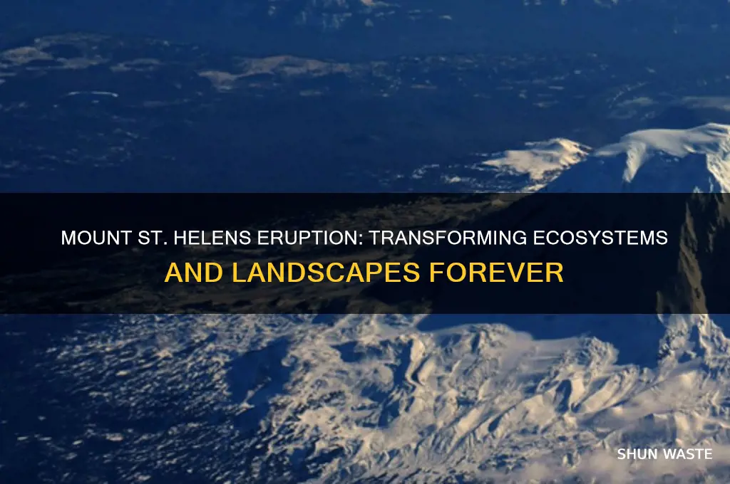 how did mt st helens change the environment