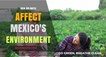 NAFTA's Environmental Impact: Assessing Mexico's Ecological Changes and Challenges