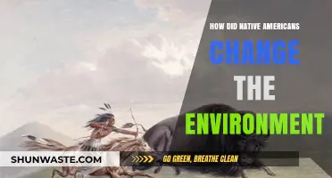 Native Americans' Environmental Impact: Shaping Landscapes and Ecosystems