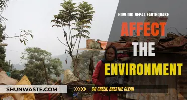 Nepal Earthquake's Environmental Impact: Devastation, Recovery, and Resilience