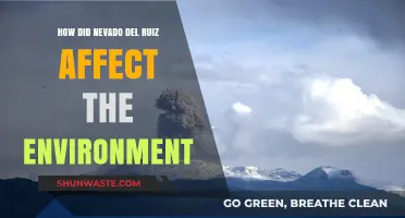Nevado del Ruiz Eruption: Environmental Impacts and Long-Term Consequences