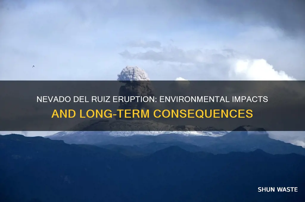 how did nevado del ruiz affect the environment