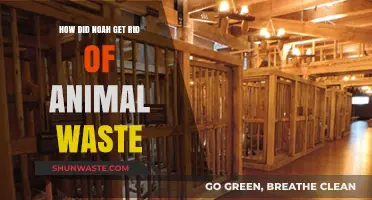 Noah's Ark Waste Management: How He Handled Animal Waste