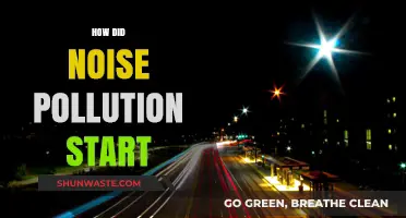 The Birth of Noise Pollution: A Historical Perspective