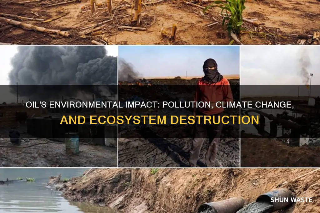 how did oil affect the environment