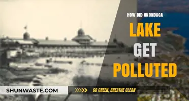 The Troubled History of Onondaga Lake's Pollution