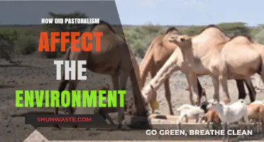 Pastoralism's Environmental Impact: Shaping Landscapes and Ecosystems Over Time