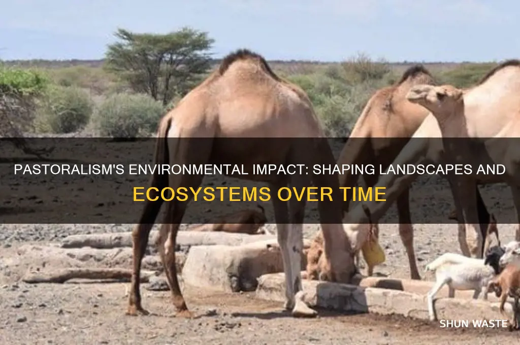 how did pastoralism affect the environment