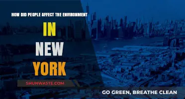 Human Impact on New York's Environment: A Historical Overview
