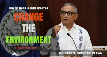 Belize's Environmental Transformation: Human Impact on Land and Ecosystems