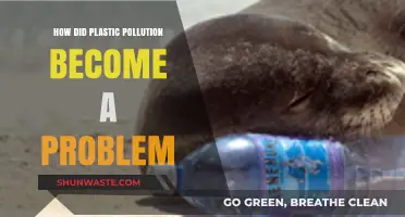 Plastic Pollution: A Man-Made Environmental Disaster