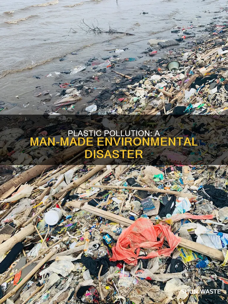 how did plastic pollution become a problem