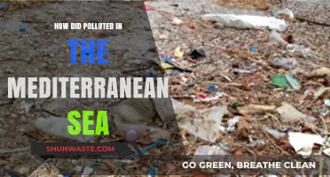 The Mediterranean Sea: Polluted Paradise