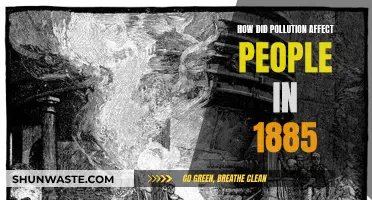 Industrial Pollution's Impact on People in 1885