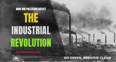 Industrial Revolution: Pollution's Dark Legacy