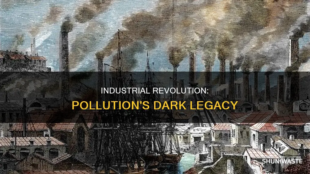 how did pollution affect the industrial revolution