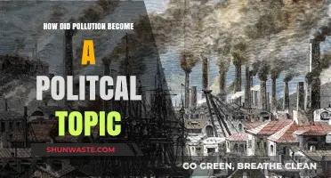 The Politics of Pollution: Who's Responsible?