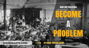The Evolution of Pollution: A Global Crisis