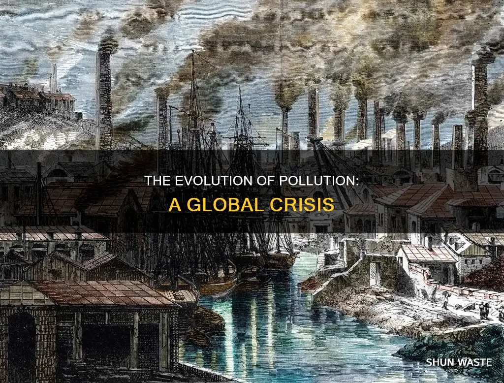 how did pollution become a problem
