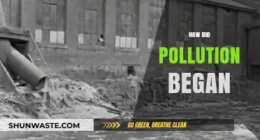 The Dark History of Pollution's Rise